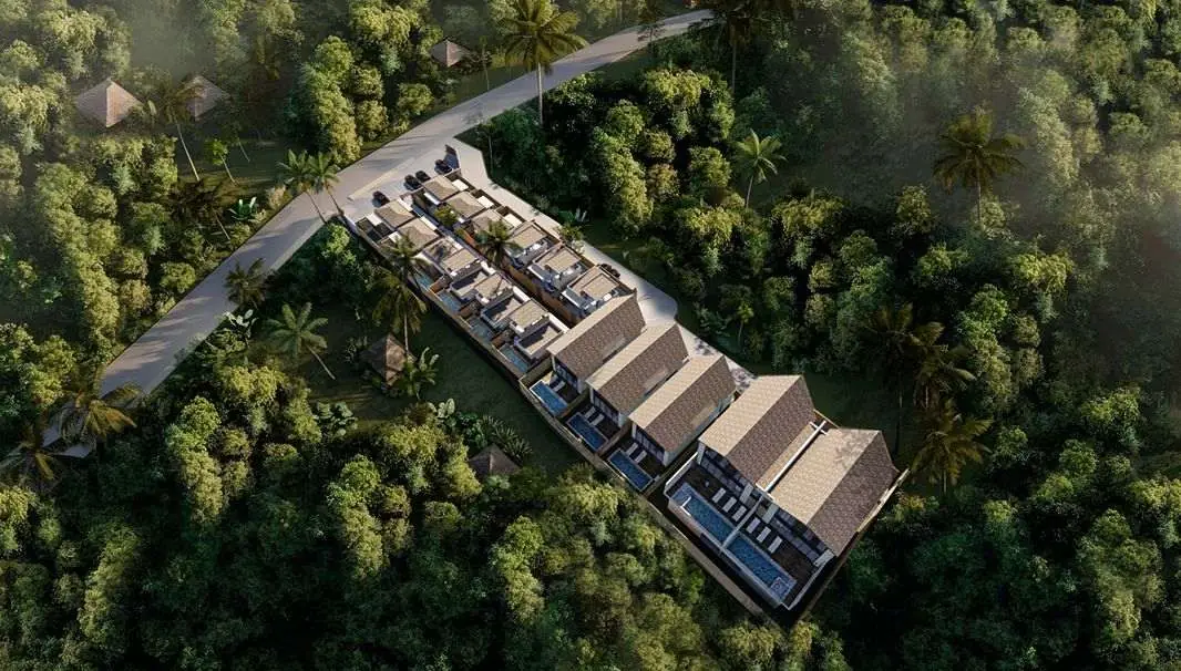 Aerial render of the residence and its service lane